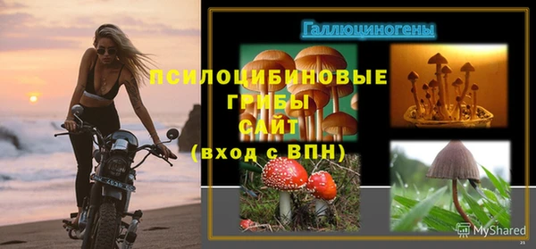 стаф Баксан