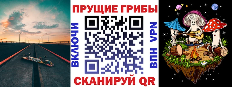 Галлюциногенные грибы GOLDEN TEACHER  omg вход  Олонец 